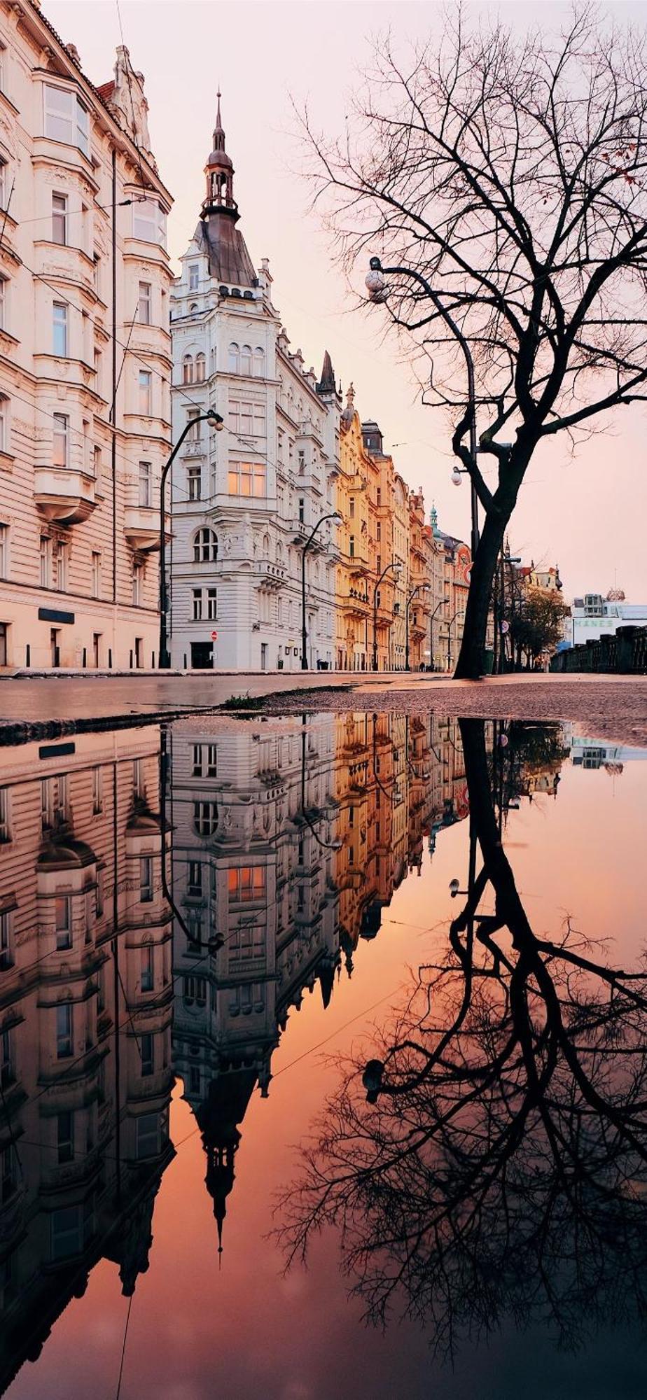 Center Of Prague Apartment 369 Bagian luar foto